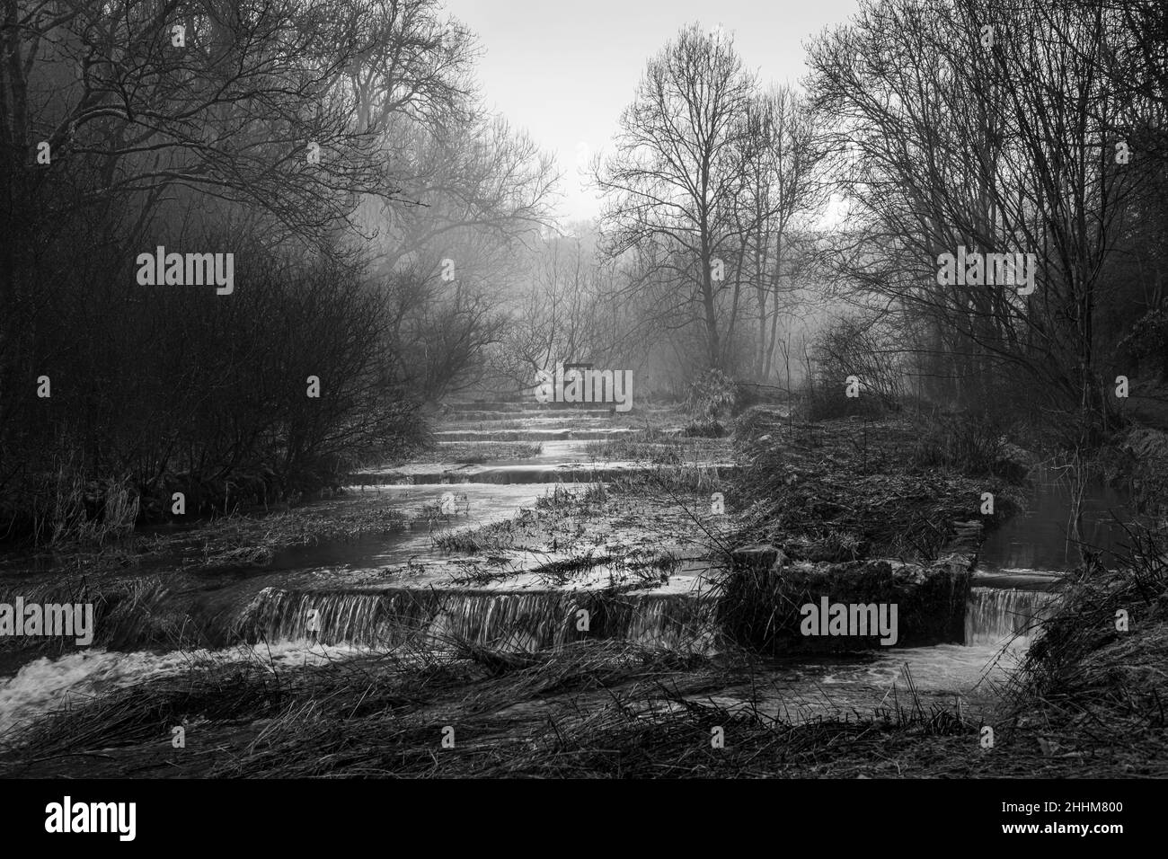 The River Lathkill on a misty winter morning, Lathkill Dale, Peak District National Park, Derbyshire, England Stock Photo