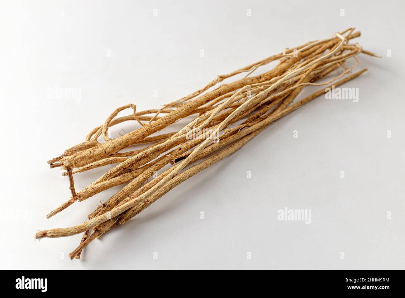 Astragalus root on a white background Stock Photo