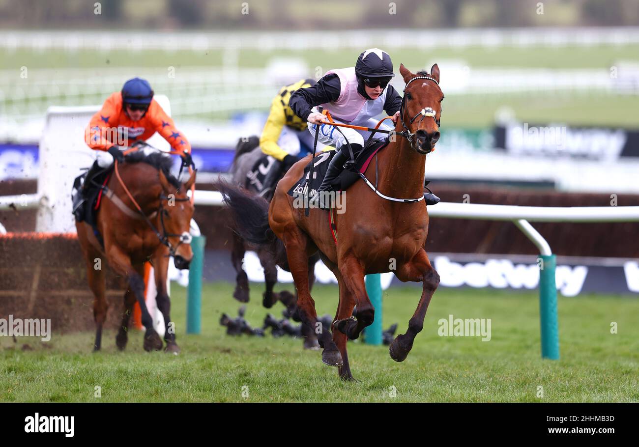File photo dated 17-03-2021. Bob Olinger looks set to go straight to Cheltenham in March and miss the Dublin Racing Festival. Issue date: Tuesday January 25, 2022. Stock Photo