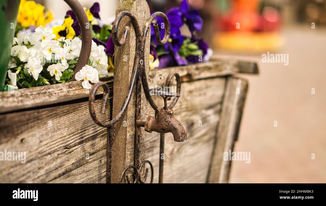 Faucet as deco in old with rust on a wooden cart with planted flowers. Detailed and textured decoration Stock Photo