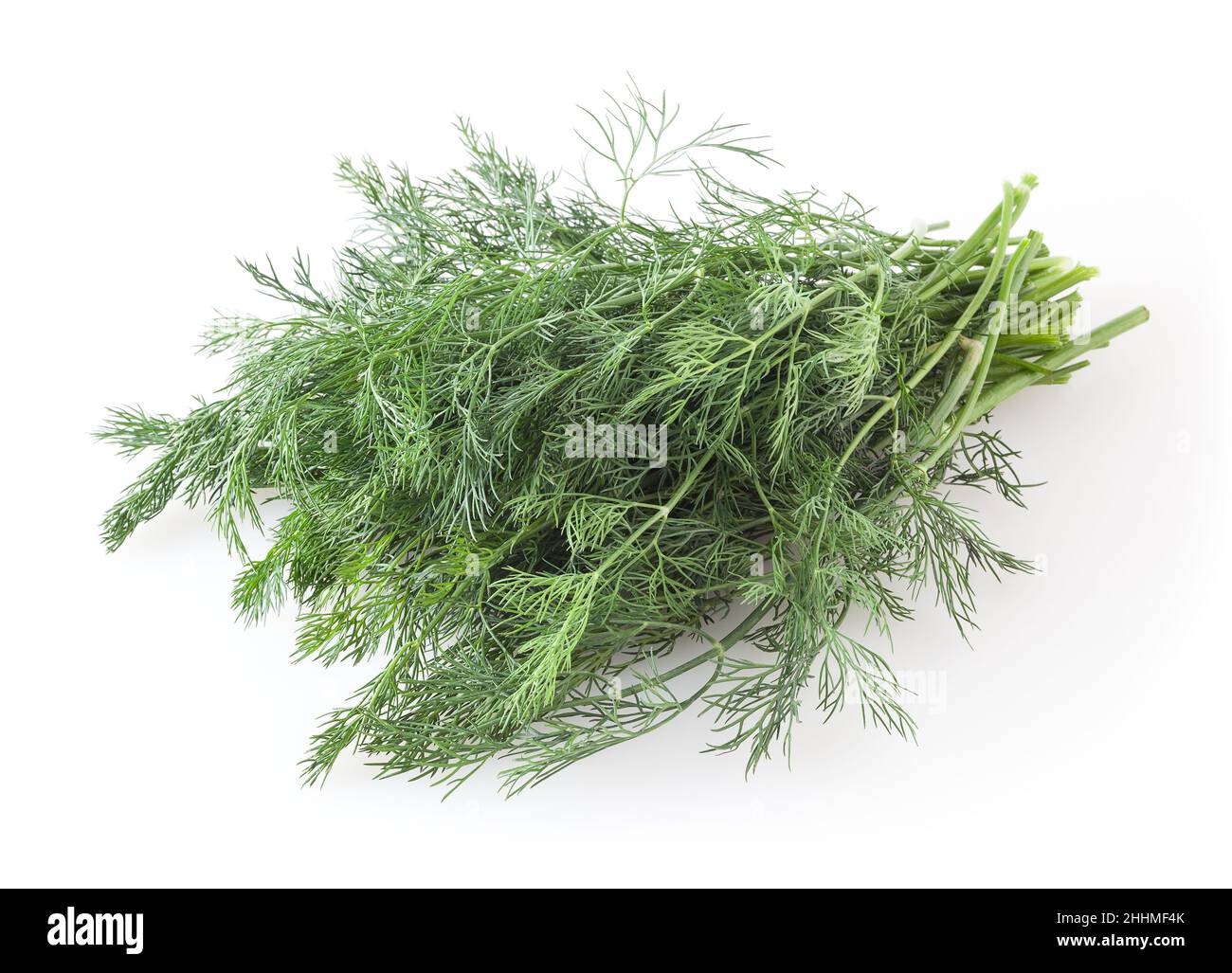 Bunch of fresh dill isolated on white background Stock Photo