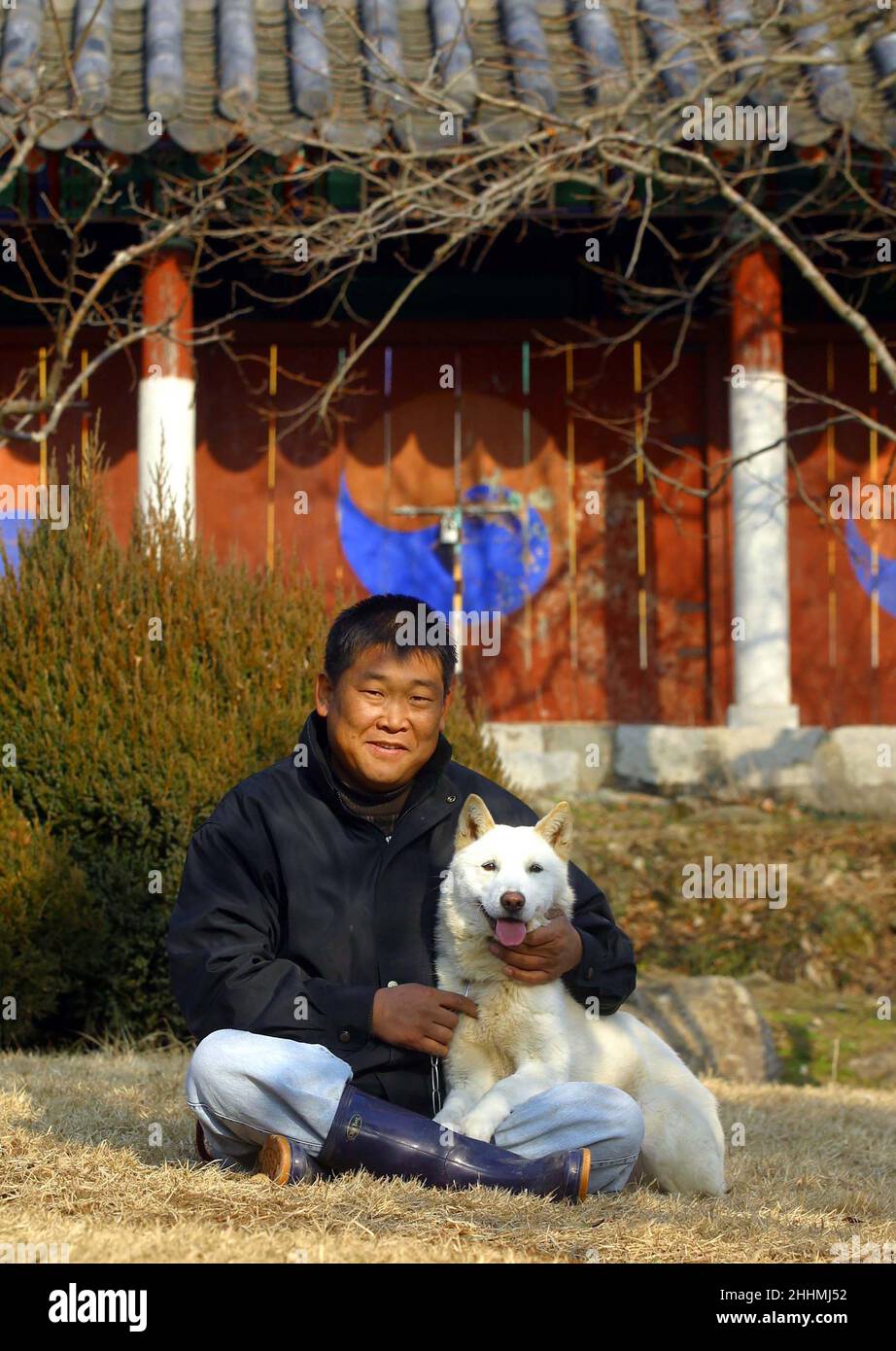 A JINDO DOG WITH HIS OWNER ON JINDO ISLAND.  THE REMOTE ISLAND, OFF SOUTH KOREA, IS HOME TO THE JINDO DOG.  THE DOG HAS BEEN AN ISOLATED BREED SINCE STONE AGE TIMES. NOW FOR THE FIRST TIME THEY HAVE BEEN OFFICALLY BRED OUTSIDE KOREA IN BRISTOL WITH THE AIM TO SHOW THEM AT CRUFTS IN 2005.  KOREA.  PICTURE: GARYROBERTSPHOTOGRAPHY.COM Stock Photo