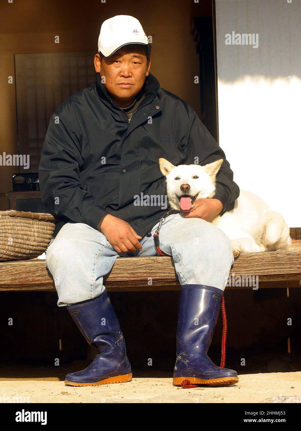 A JINDO DOG WITH HIS OWNER ON JINDO ISLAND.  THE REMOTE ISLAND, OFF SOUTH KOREA, IS HOME TO THE JINDO DOG.  THE DOG HAS BEEN AN ISOLATED BREED SINCE STONE AGE TIMES. NOW FOR THE FIRST TIME THEY HAVE BEEN OFFICALLY BRED OUTSIDE KOREA IN BRISTOL WITH THE AIM TO SHOW THEM AT CRUFTS IN 2005.  KOREA.  PICTURE: GARYROBERTSPHOTOGRAPHY.COM Stock Photo