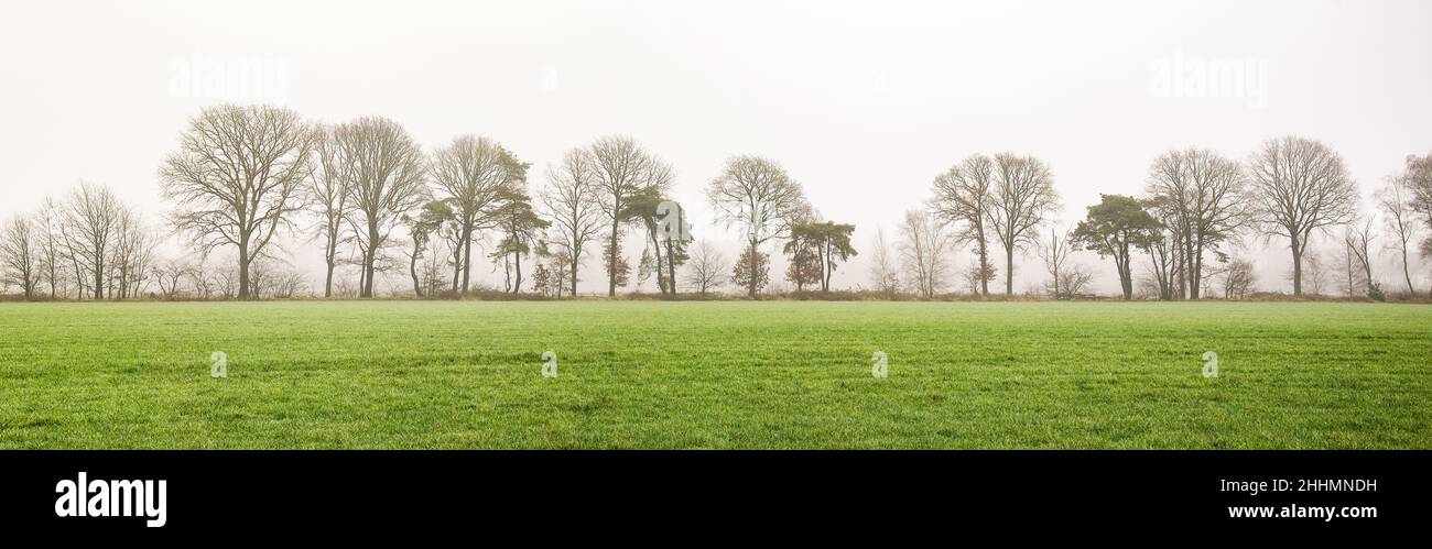 panoramic view of flat farm landscape in the east part of Holland Stock ...