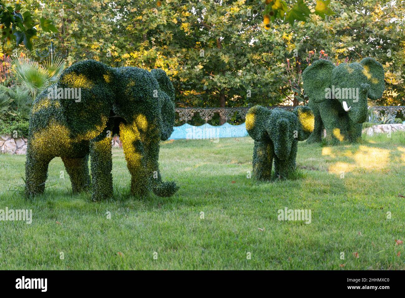 Animal elephant shaped hedge at the Castle in Ravadinovo, Bulgaria. Stock Photo