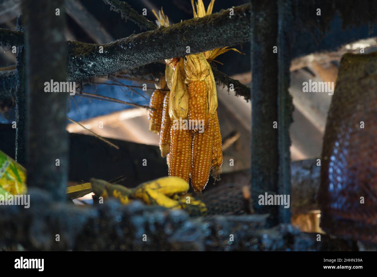 Hanged corns in the kitchen Stock Photo