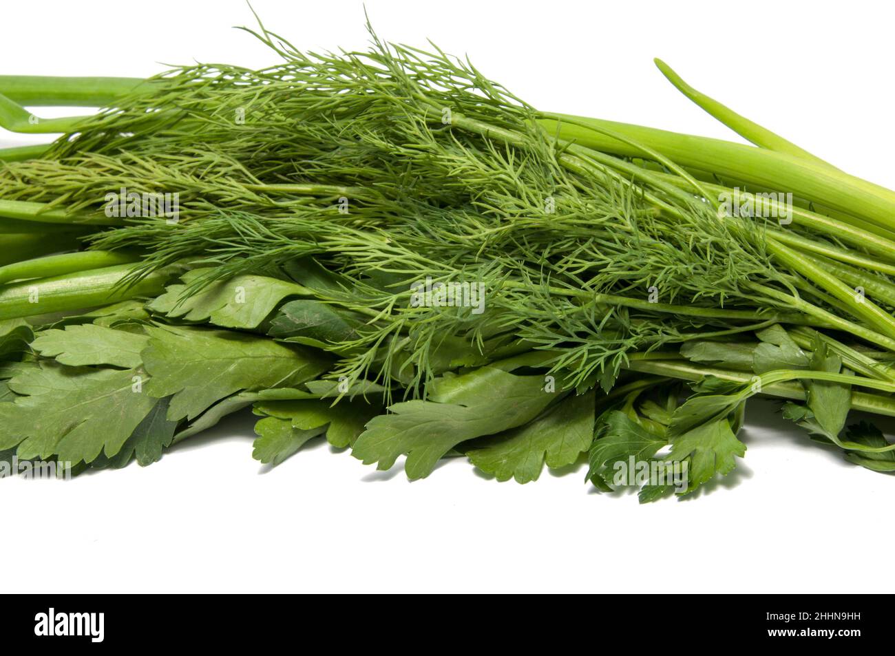 Green parsley onion fennel isolated Stock Photo Alamy
