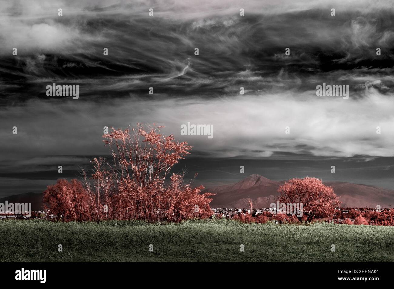 Infrared landscape scenery Stock Photo