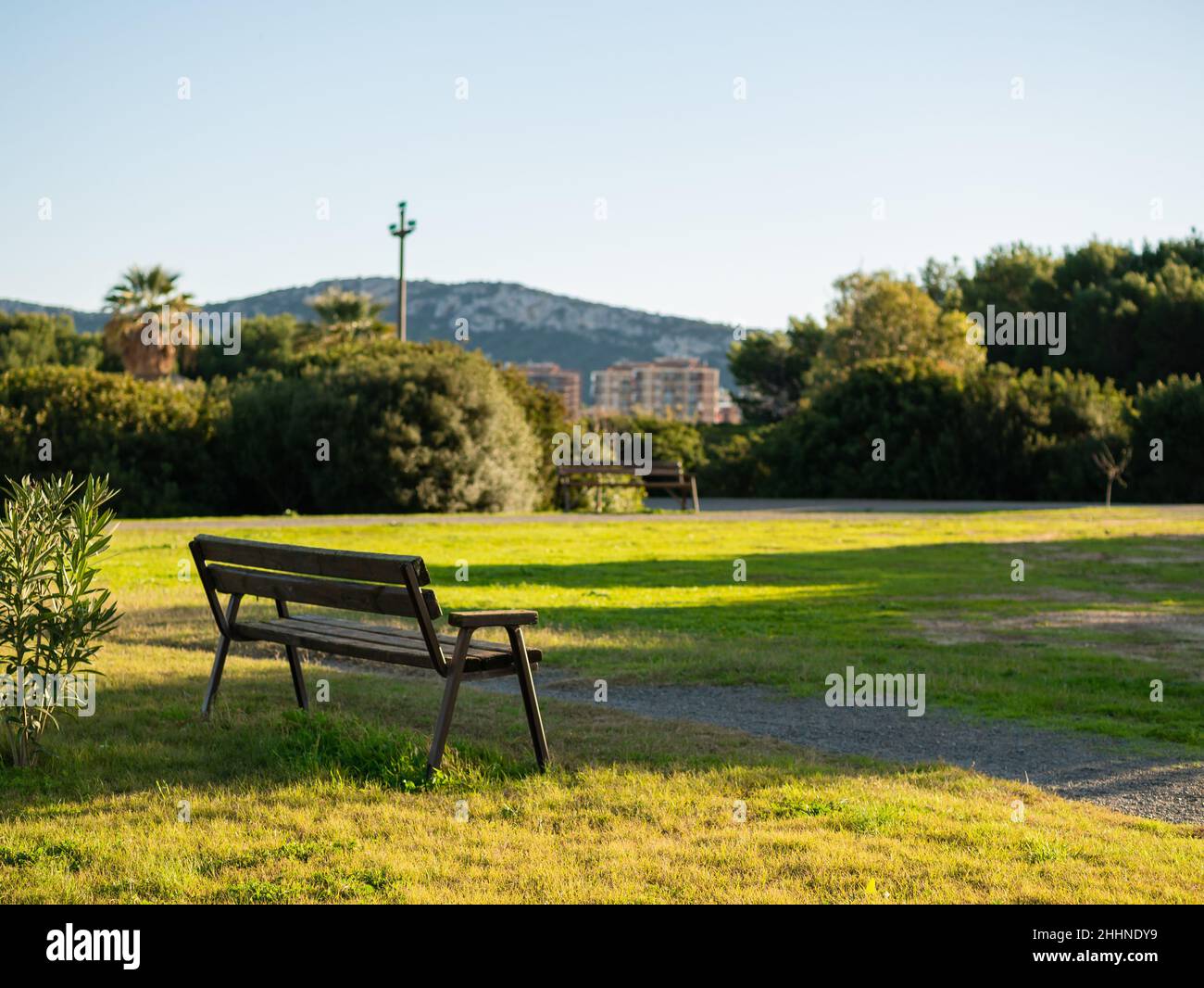 panoramic nature park with bench in nature background, trees and blue sky Stock Photo