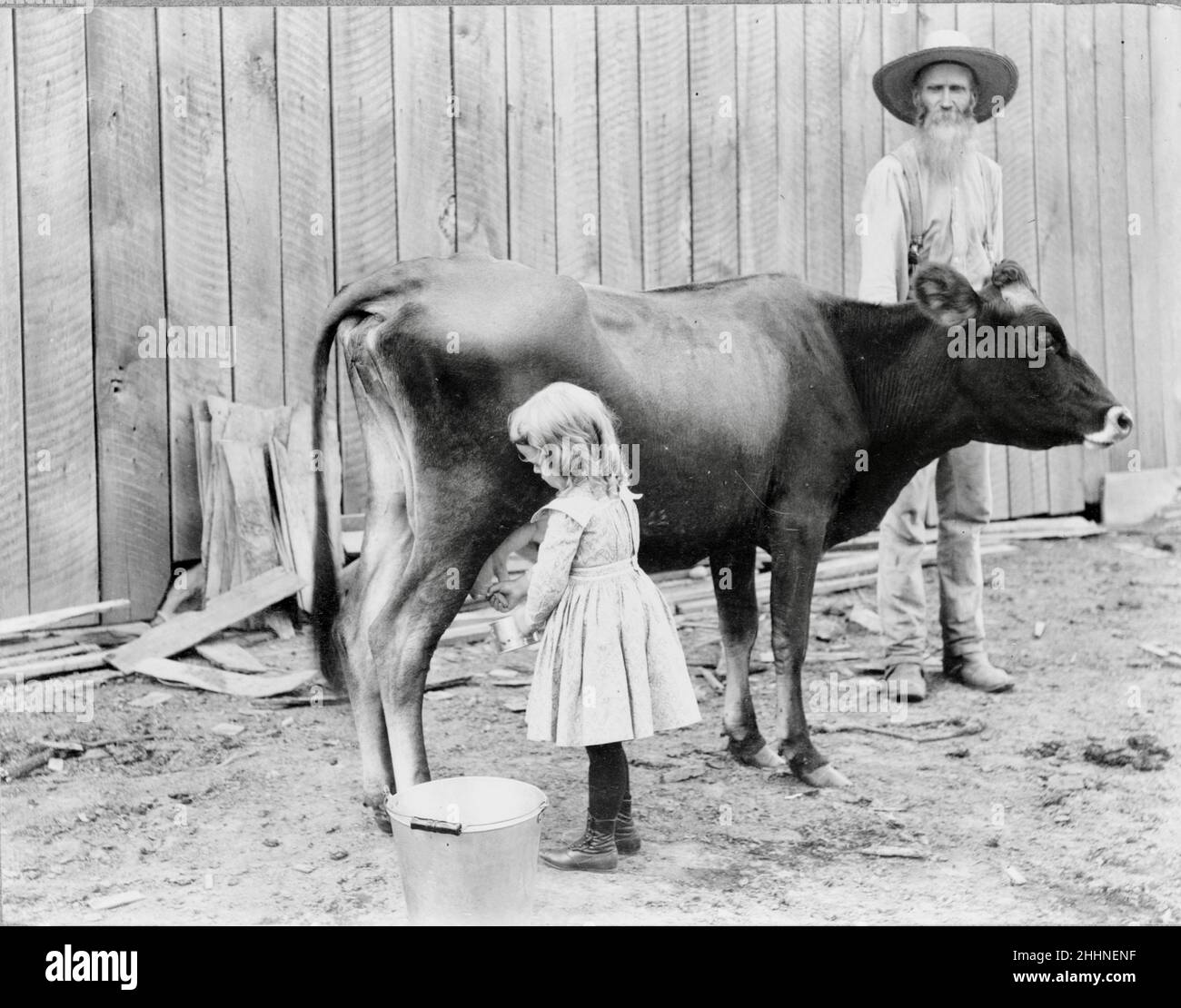 Retro vintage photograph of a young girl milking a cow with an elderly gentleman looking on. Stock Photo