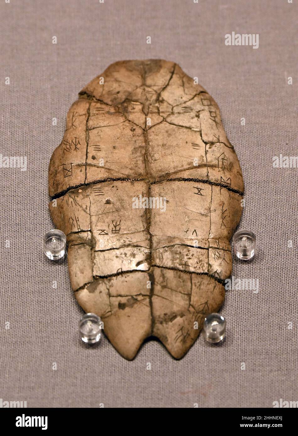 (220125) -- BEIJING, Jan. 25, 2022 (Xinhua) -- Photo taken on Jan. 25, 2022 shows a piece of tortoise shell carrying inscriptions during an exhibition held at the Palace Museum in Beijing, capital of China. The exhibition featuring Chinese civilization opened Tuesday at the Palace Museum, also known as the Forbidden City. With more than 130 pieces or sets of precious cultural relics displayed, the exhibition sheds light on the origin, development and achievements of Chinese civilization, as well as its major contributions to human civilization. The exhibition will run until May 4. Advance Stock Photo