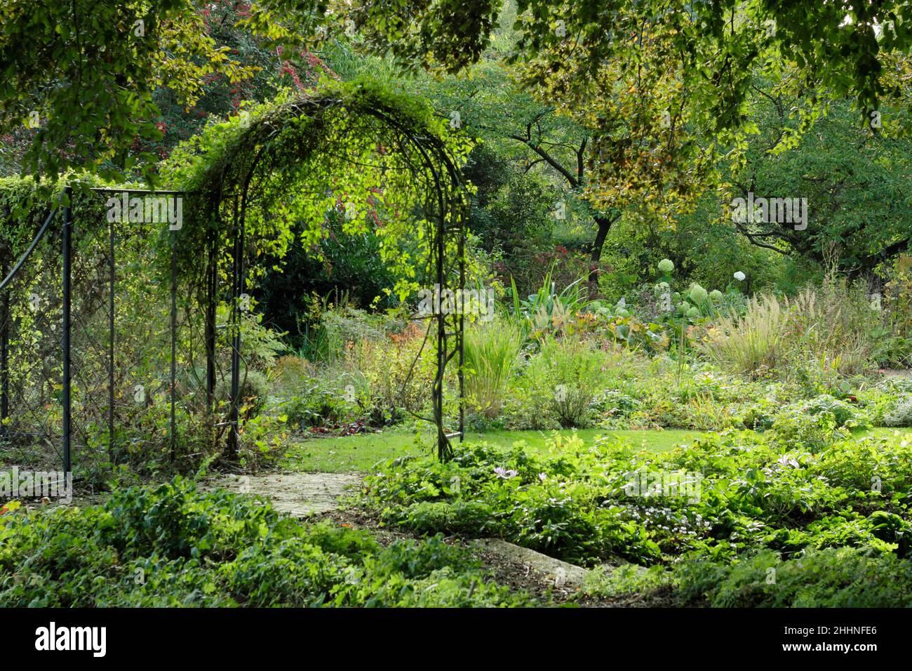 Garden arch.Garden arch adds visual interest and serves to divide zones between a woodland garden and perennial beds. Autumn. UK Stock Photo