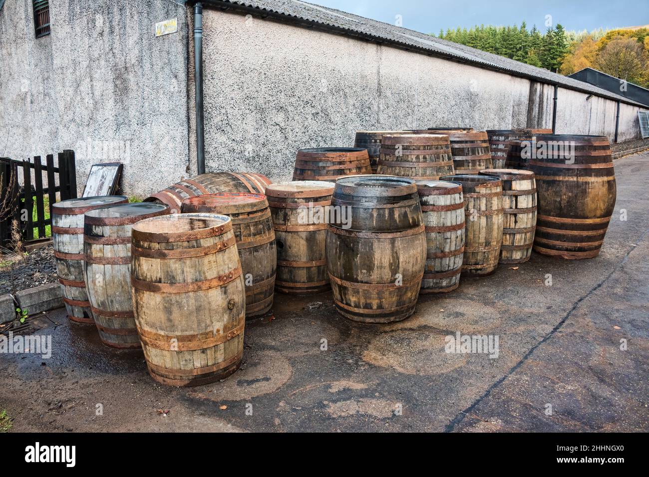 Whisky barrels at Glengoyne Distillery and Visitor Attraction. Stock Photo