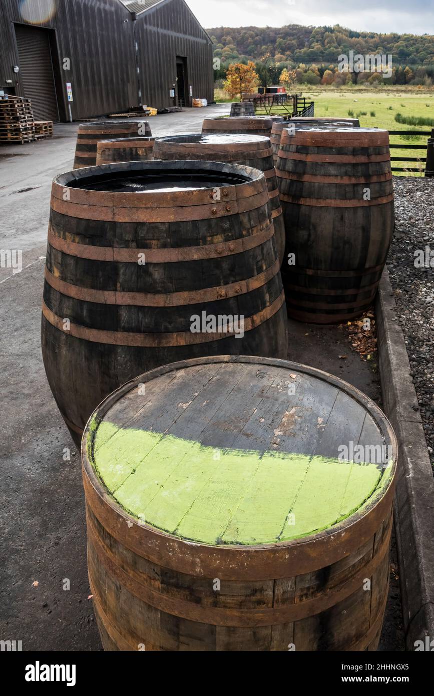 Whisky barrels at Glengoyne Distillery and Visitor Attraction. Stock Photo
