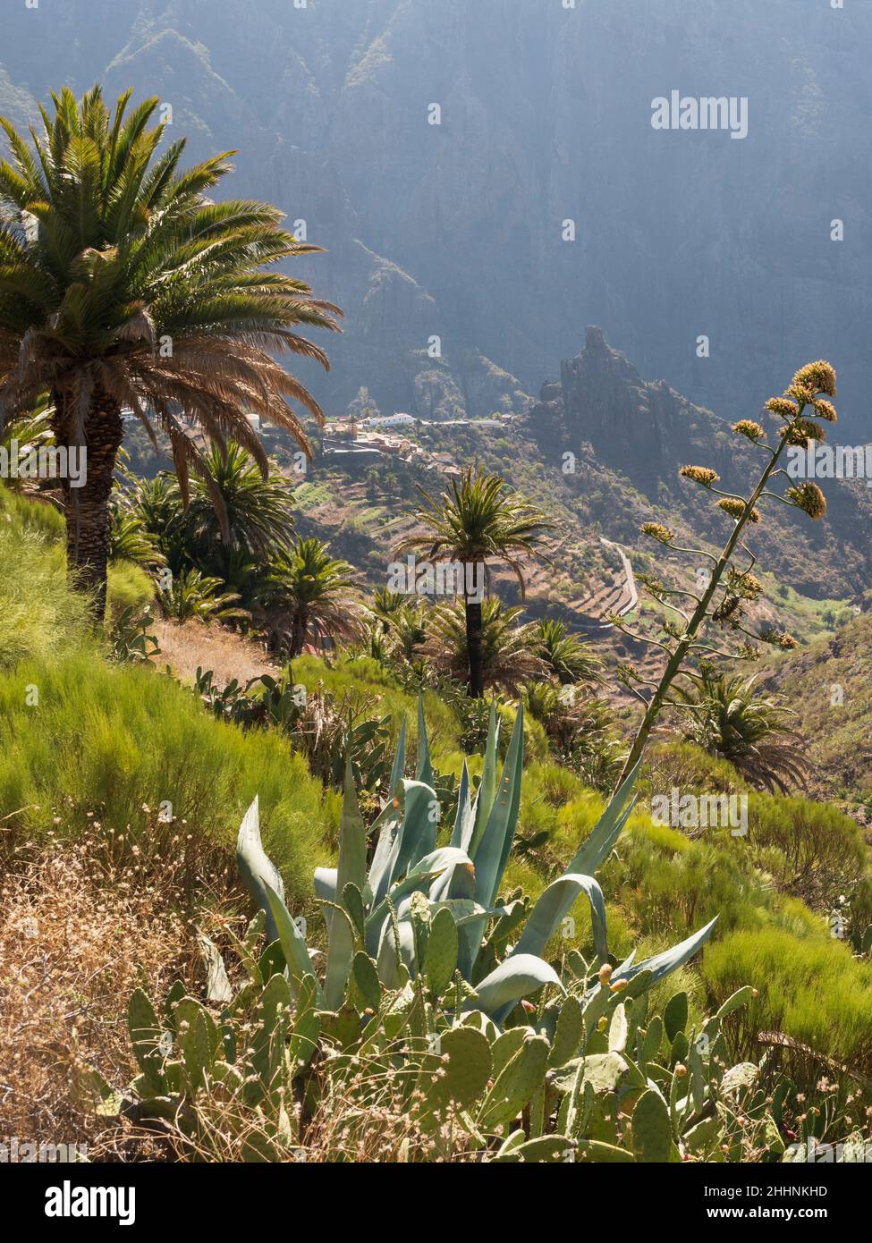Masca Village, Teno Mountains, Tenerife, Canary Islands. Stock Photo