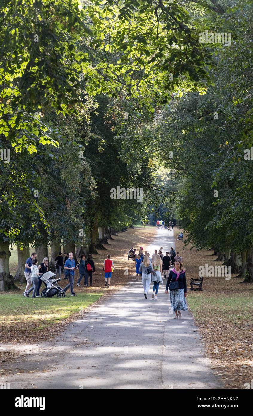 Harpenden Common, Harpenden, Hertfordshire UK; People walking along a