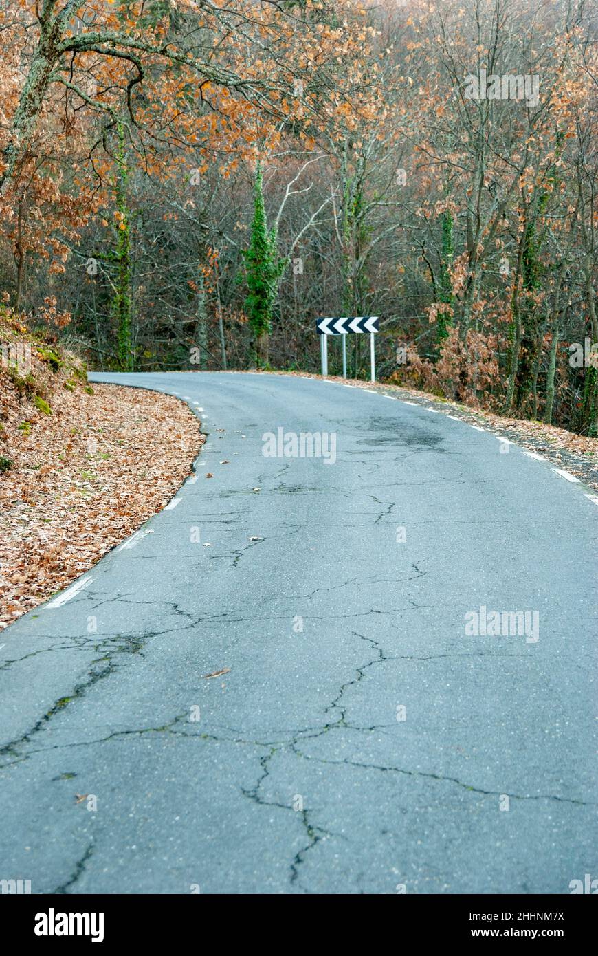 Curve direction sign on mountain road full of fallen leaves with uneven road surface in autumn Stock Photo