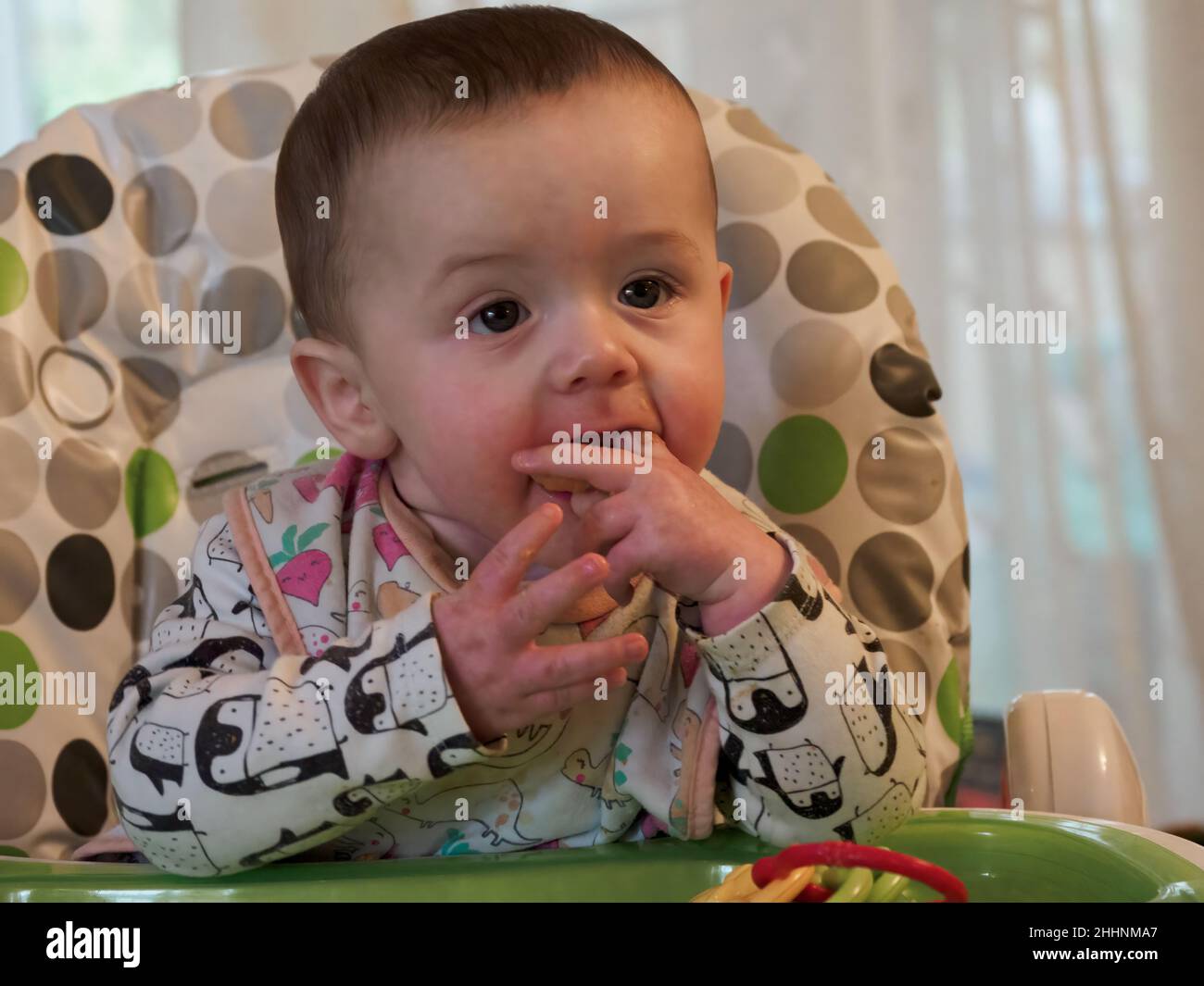 Baby boy sat in high chair eating, UK Stock Photo