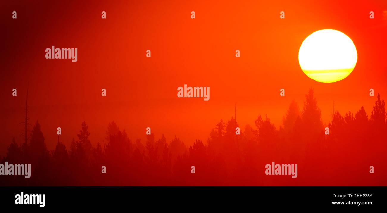Sunlight shining golden orange hi-res stock photography and images - Alamy