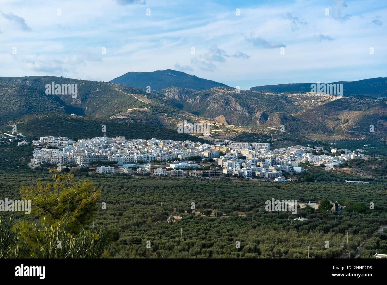 Mattinata, Puglia, Italy: panoramic image of the city surrounded by olive trees Stock Photo