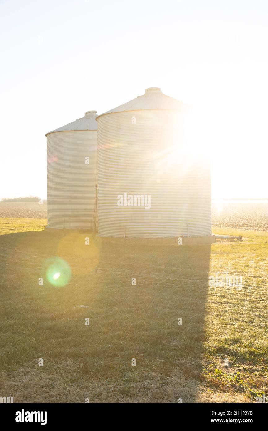 Grain Bins in the Countryside at Sunset Stock Photo