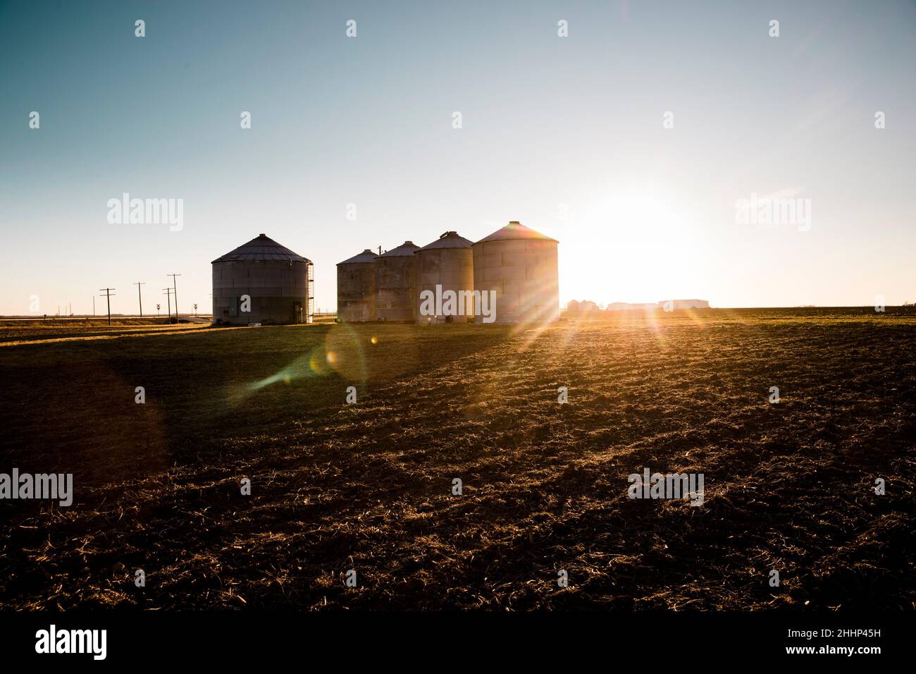 Grain Bins in the Countryside at Sunset Stock Photo