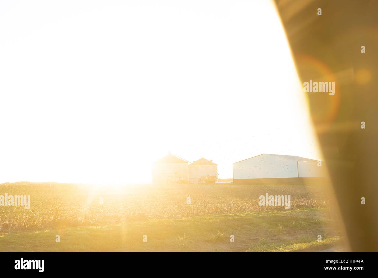 Grain bins and barn at sunrise in the midwest, view out of a car window. Stock Photo