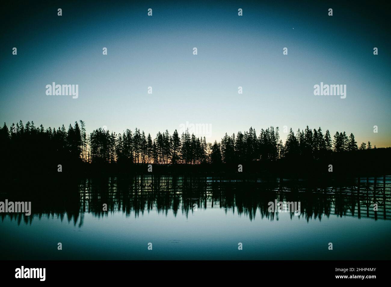 Trees reflecting in the water in Owl's Head, Maine Stock Photo