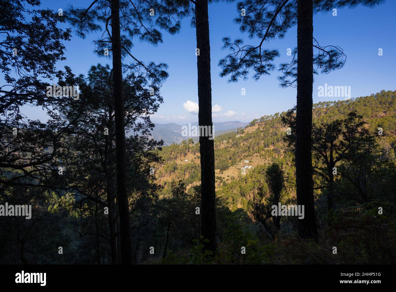 View of Binsar Wildlife Sanctuary - a small village is seen at a distance Stock Photo