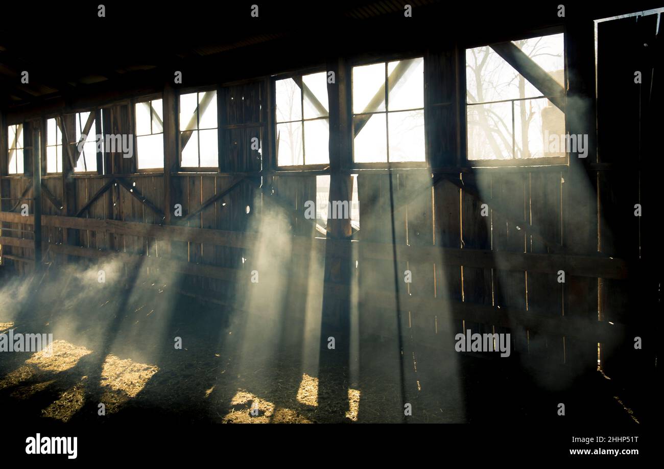Sunlight streaming through windows of an old barn Stock Photo