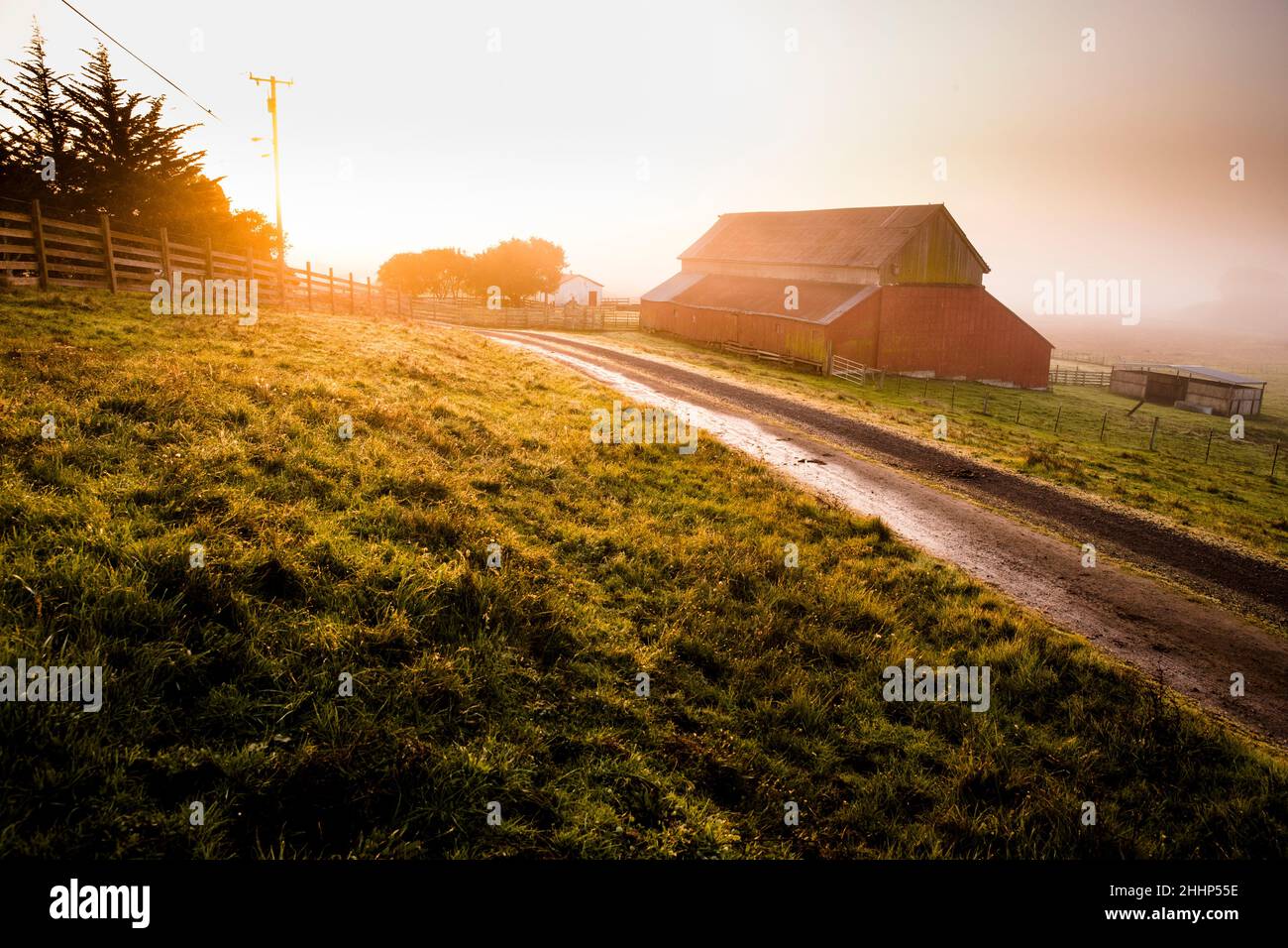 Red Barn on Farm in Petaluma, California Stock Photo