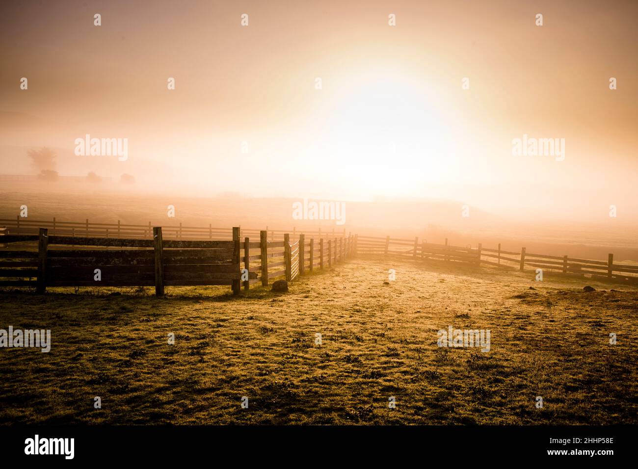 Farm Fence scene in the Countryside Stock Photo