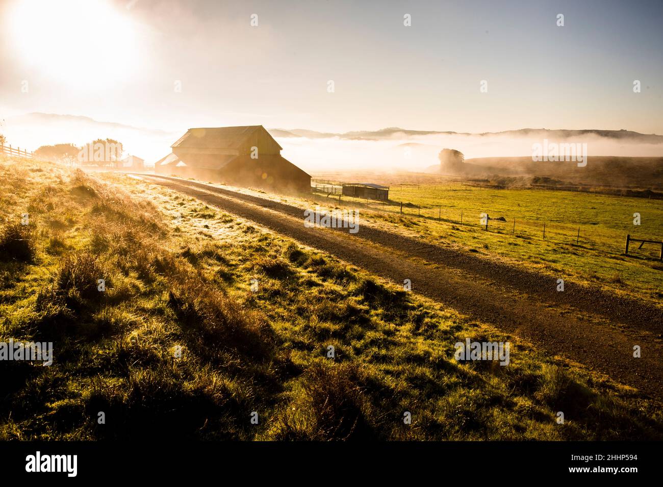 Barn on Farm in Petaluma, California Stock Photo