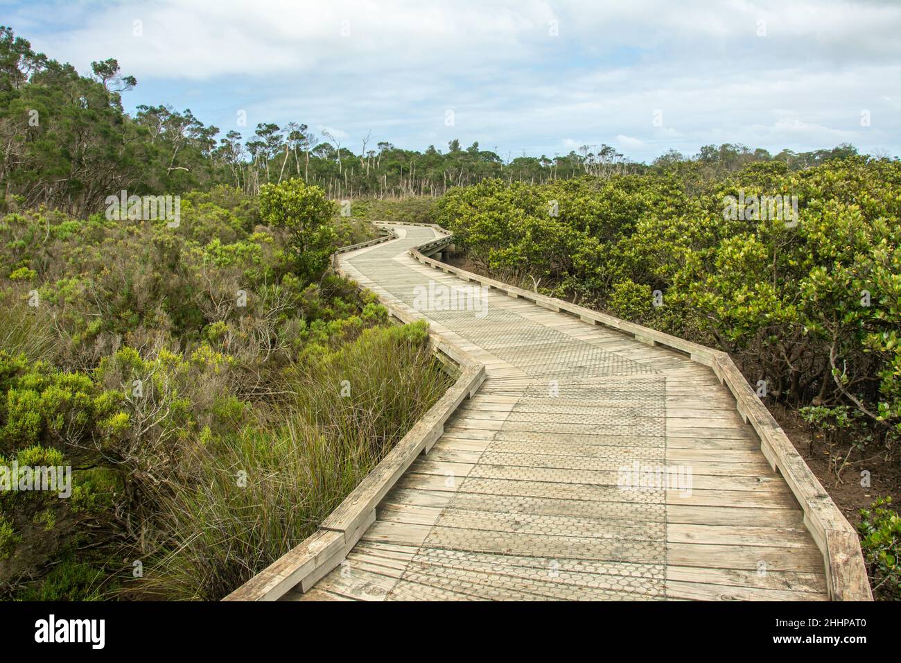 The boardwalk through the mangroves at the Rhyll Inlet wetlands on Phillip Island, Victoria, Australia Stock Photo