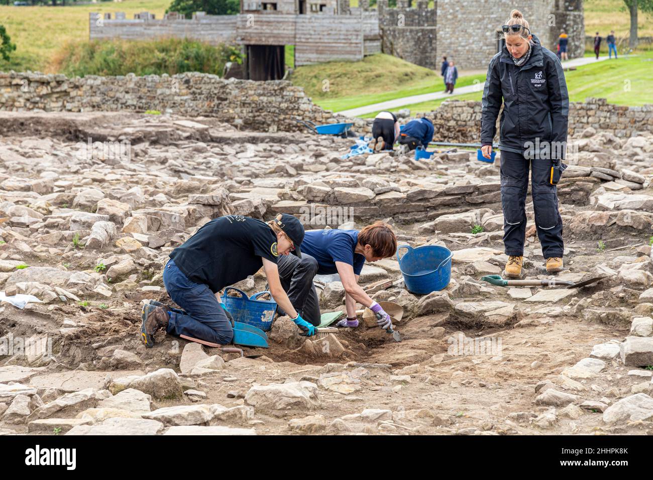 Archaeologists digging at Vindolanda Roman auxiliary fort at Chesterholm, Northumberland UK Stock Photo