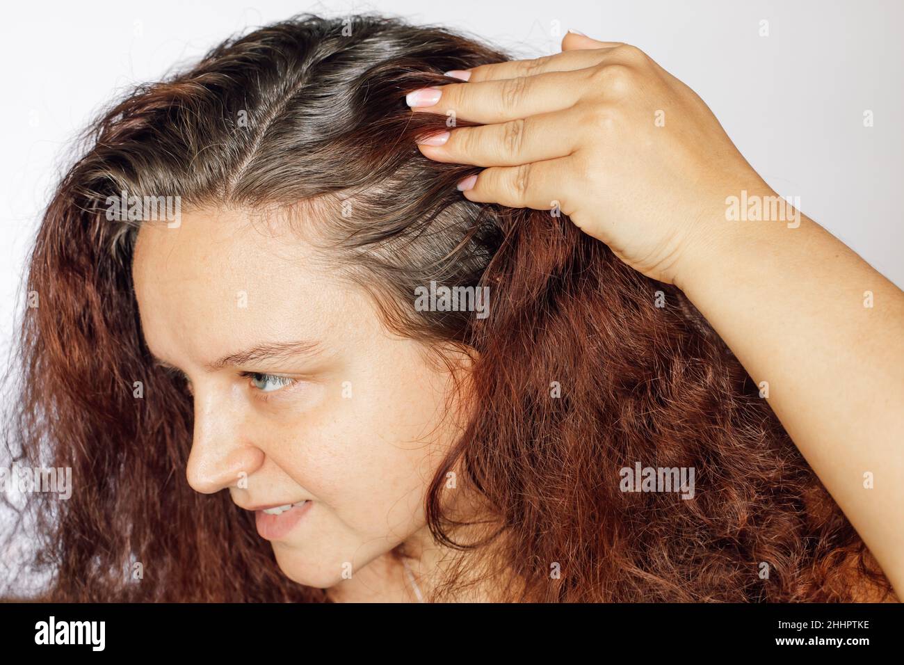 Woman showing graying hair roots by pushing left side of hair back on white background. Regrown roots which are in need of recoloring. Anti age care Stock Photo