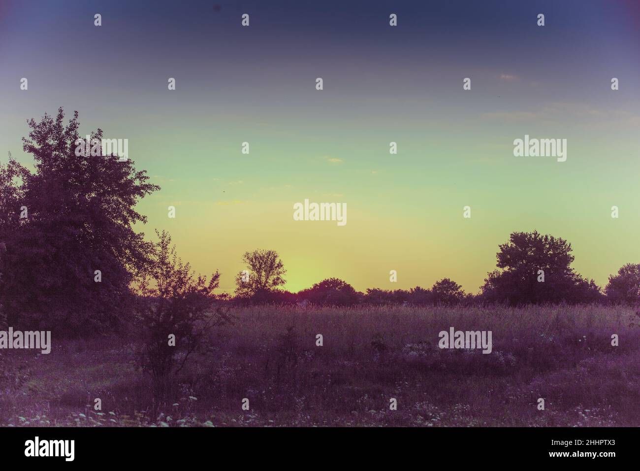 Early evening sky autumn trees hi-res stock photography and images - Alamy