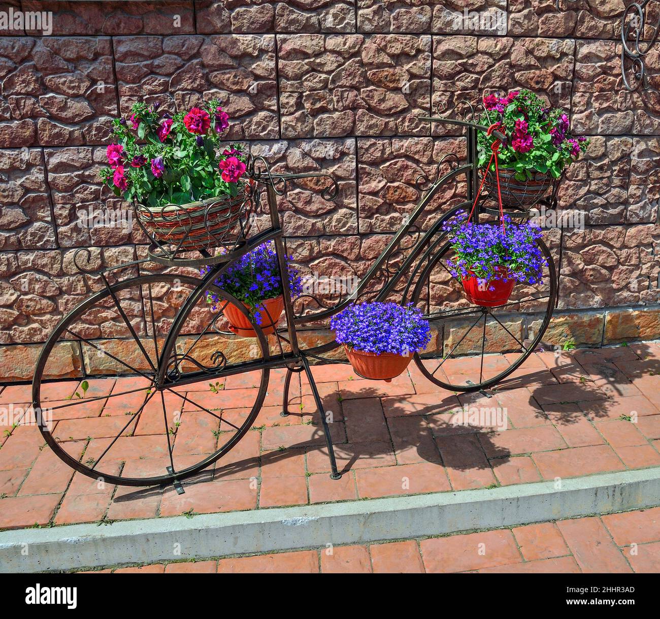 Decorative metal flower-stand bicycle with red petunia in baskets and blue lobelia flowers in flowerpots, standing outdoor near the wall - elegant dec Stock Photo