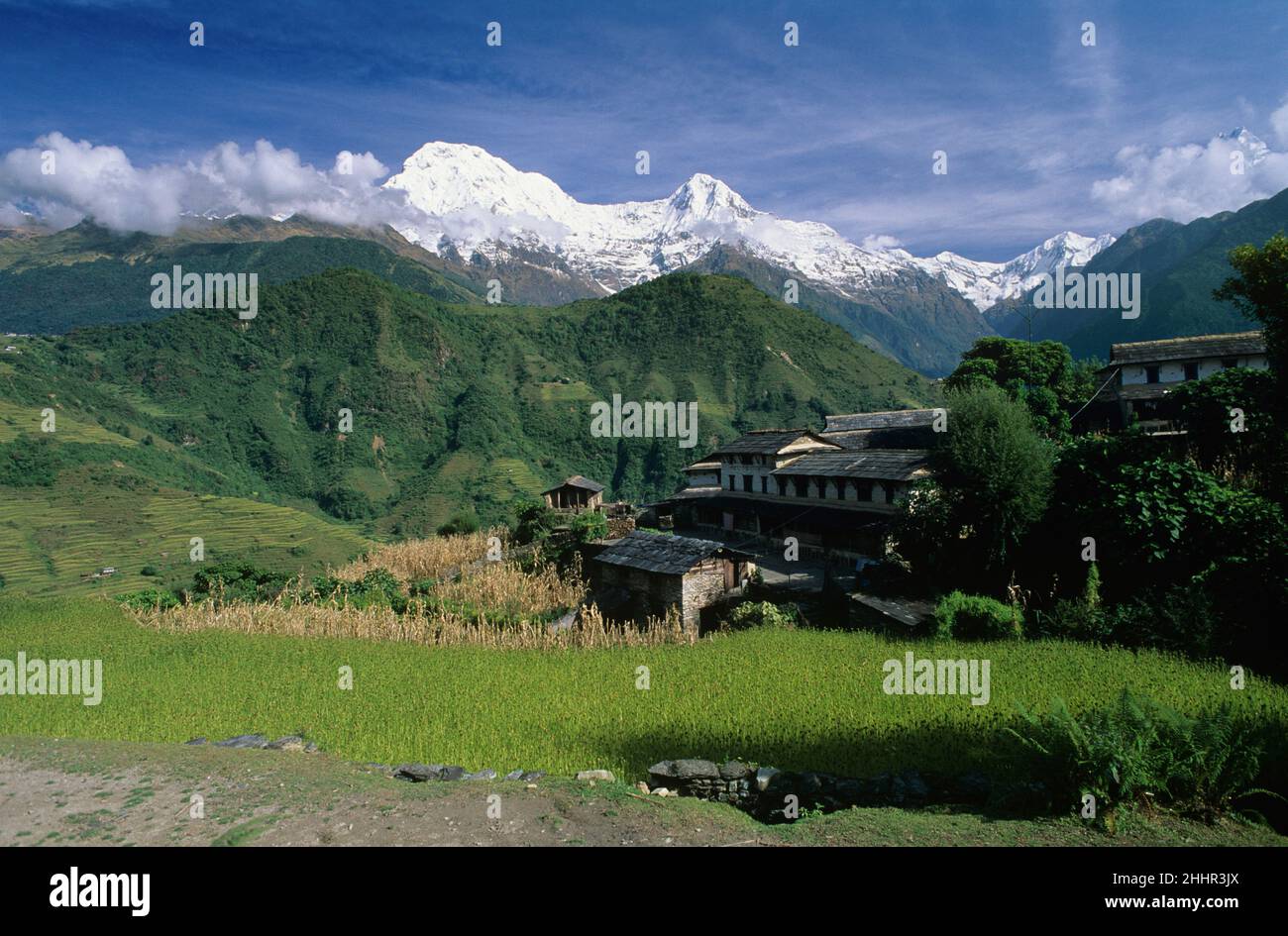 Ghandruk and the Annapurna Mountain Range, Nepal Stock Photo
