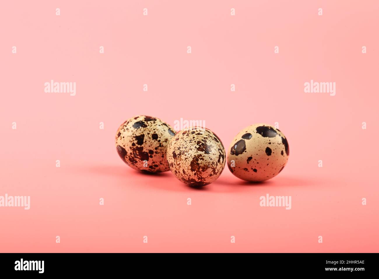 three quail eggs on a pink background Stock Photo