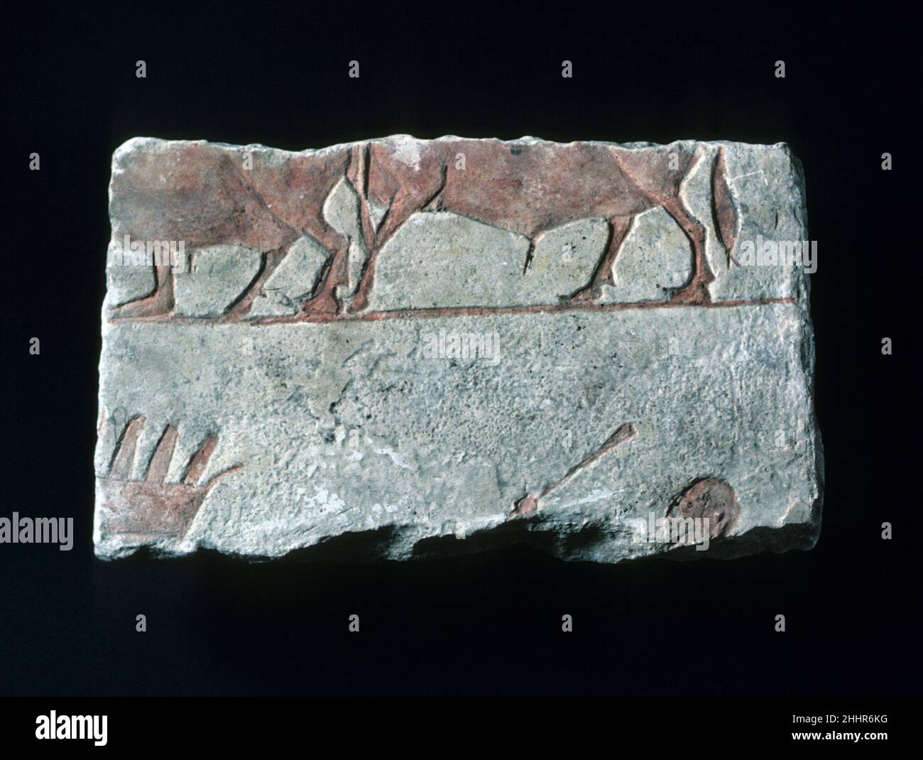 Relief with oxen ca. 1353–1336 B.C. New Kingdom, Amarna Period. Relief with oxen. ca. 1353–1336 B.C.. Limestone, paint (mostly modern). New Kingdom, Amarna Period. From Egypt; Probably from Middle Egypt, Hermopolis (Ashmunein; Khemenu); Probably originally from Amarna (Akhetaten). Dynasty 18 Stock Photo
