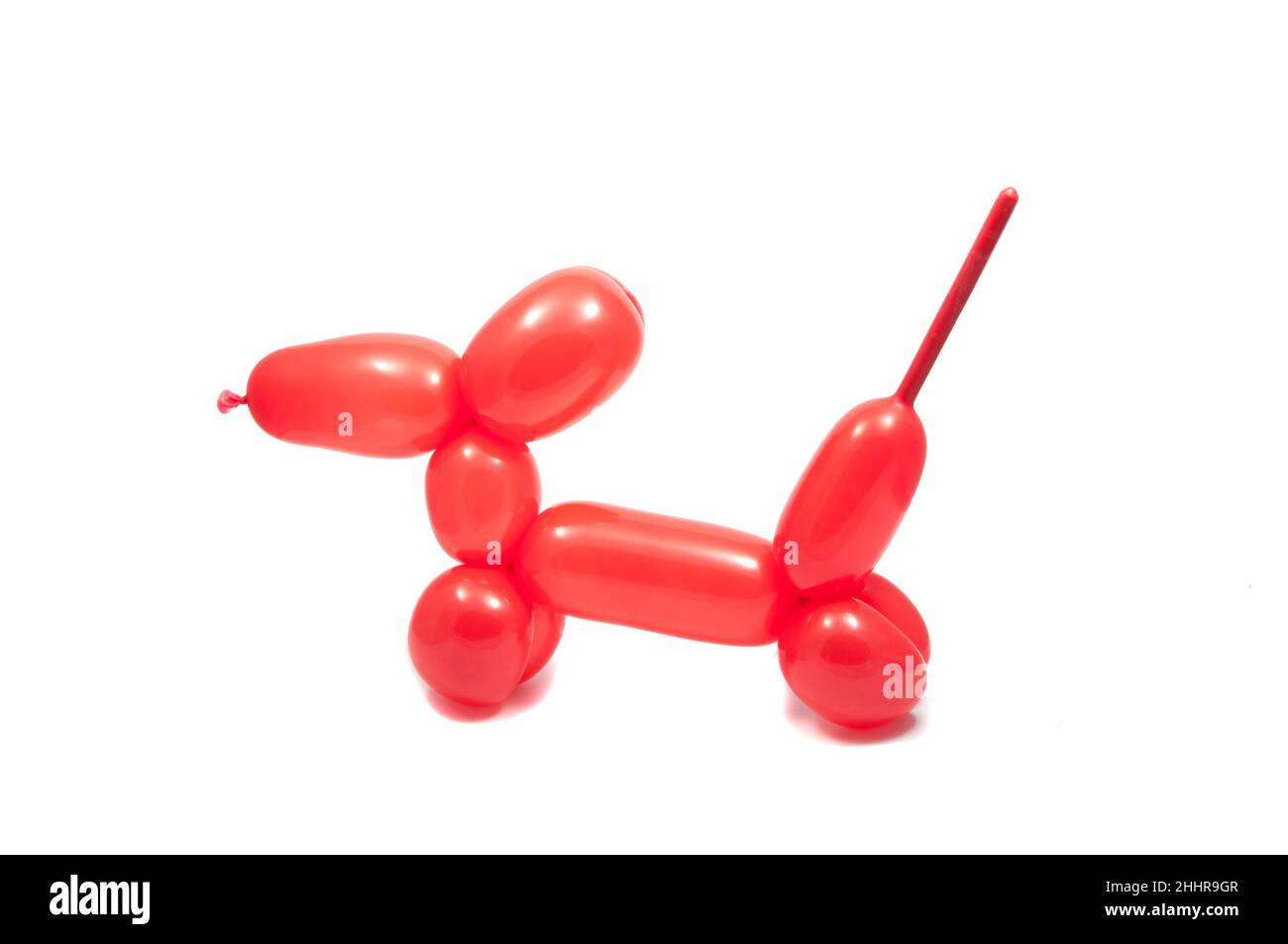 balloon red dog isolated on the white Stock Photo - Alamy