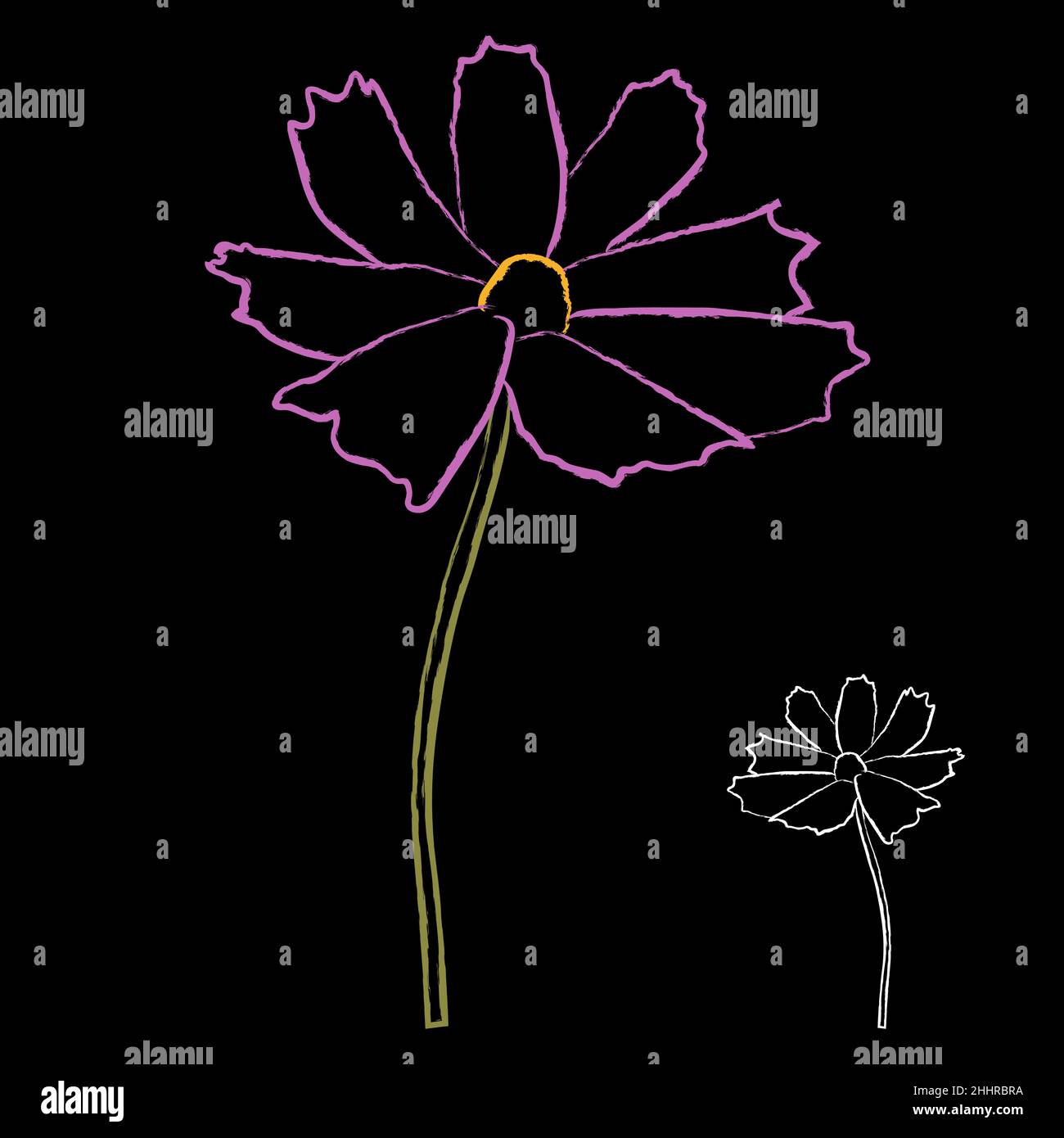 Set of chalk style cosmos flower branch vector illustration isolated on ...