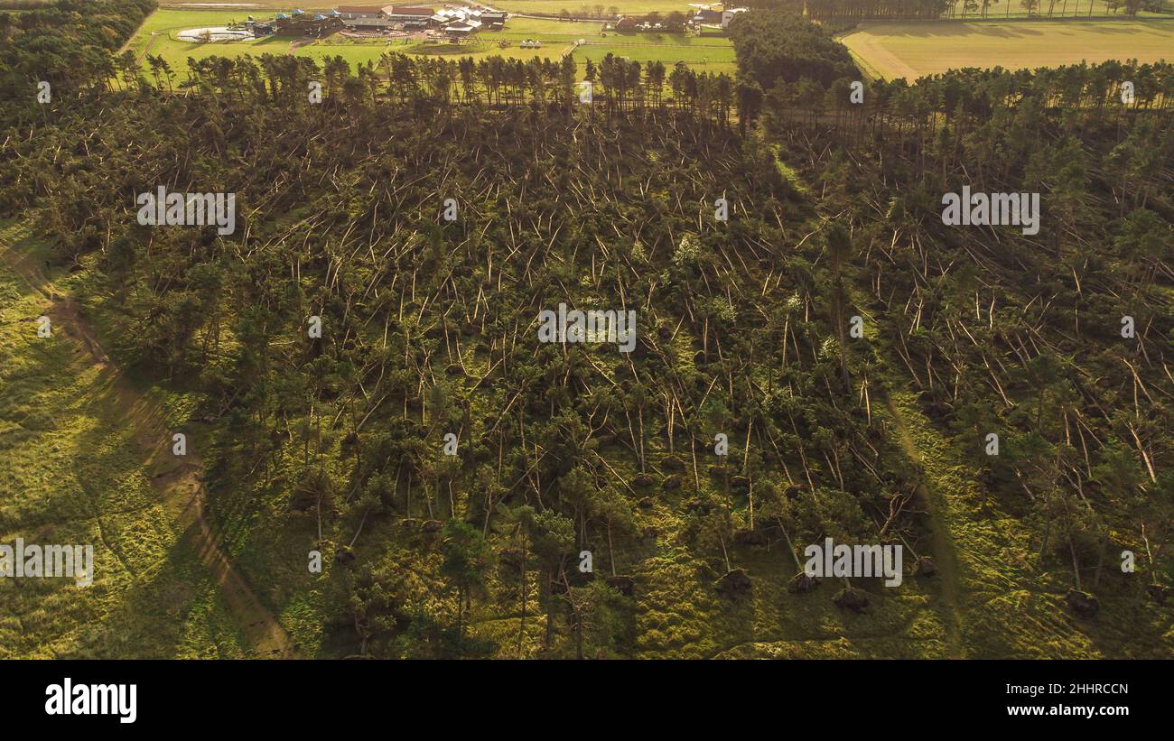 Aerial views reveal the devastation at John Muir Country Park in Dunbar ...