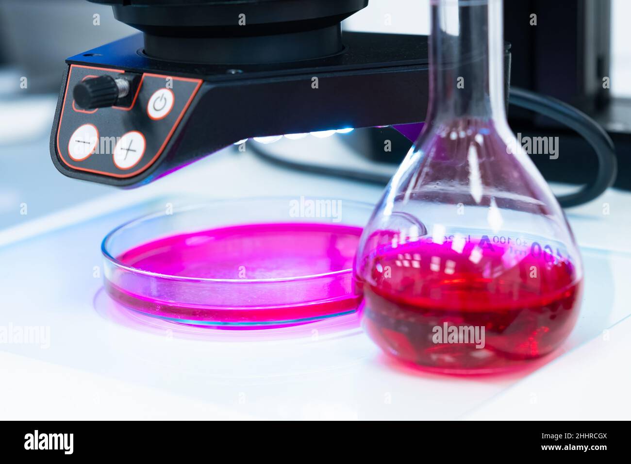 Round flask with colored liquid or blood sampleon the table in a modern laboratory with a microscope on the background. Stock Photo