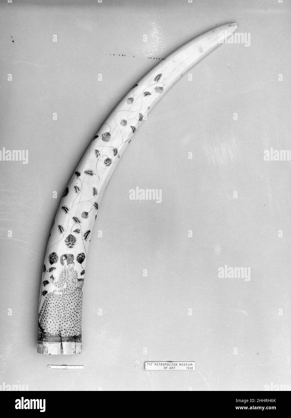 Decorated Walrus Tusk 1825–50. Decorated Walrus Tusk. 1825–50. Walrus