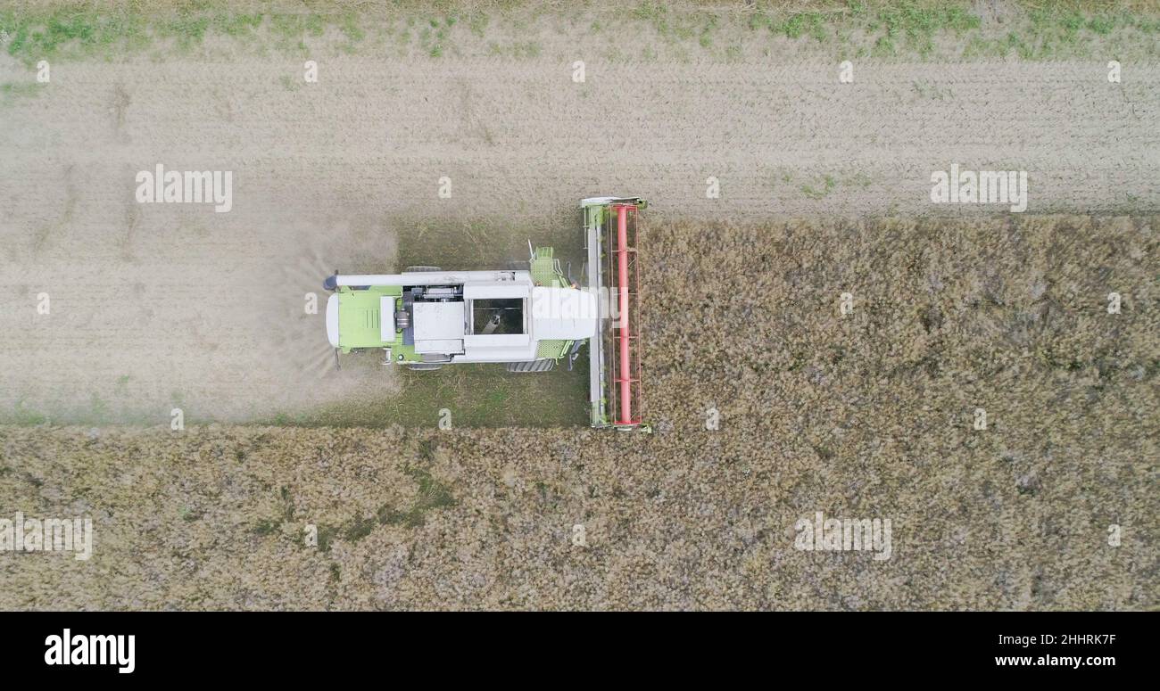 Harvisting Field Agriculture Harvester Harvesting Field Aerial View Stock Photo - Alamy