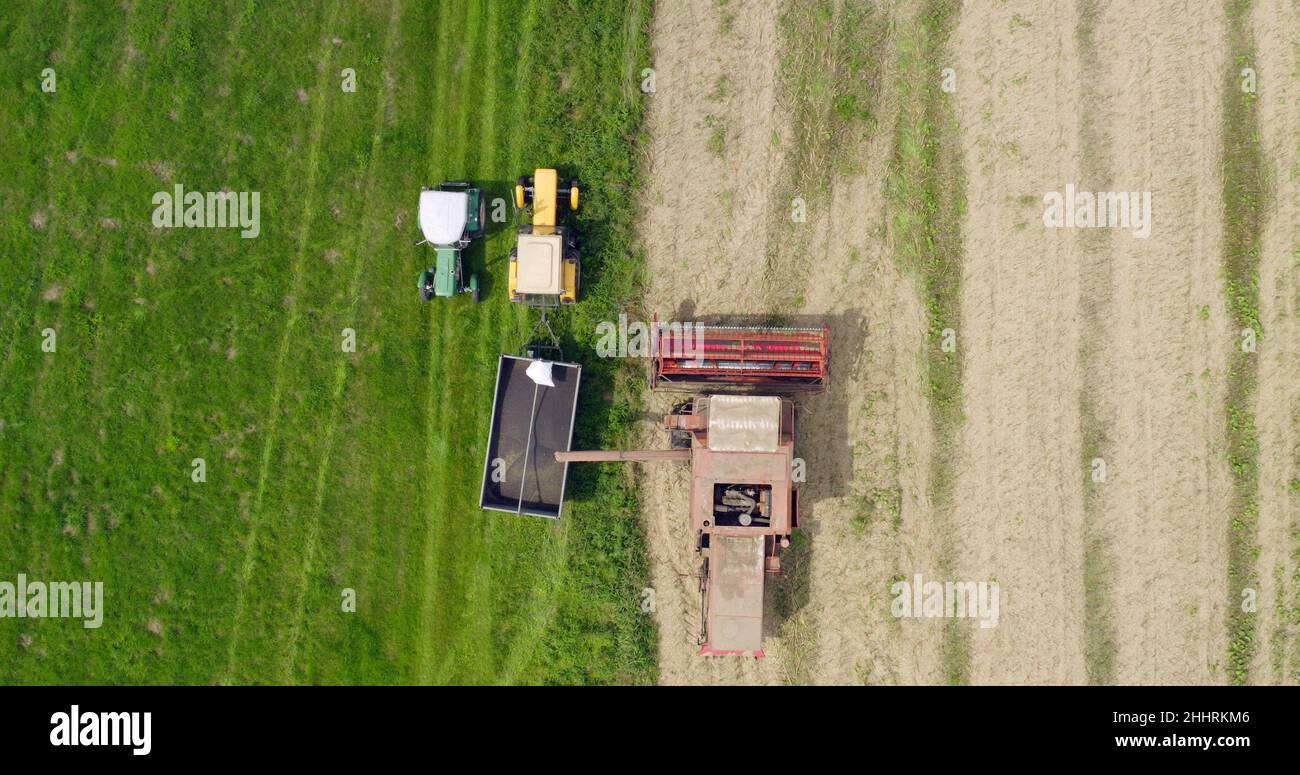 Harvisting Field Agriculture Harvester Harvesting Field Aerial View Stock Photo - Alamy
