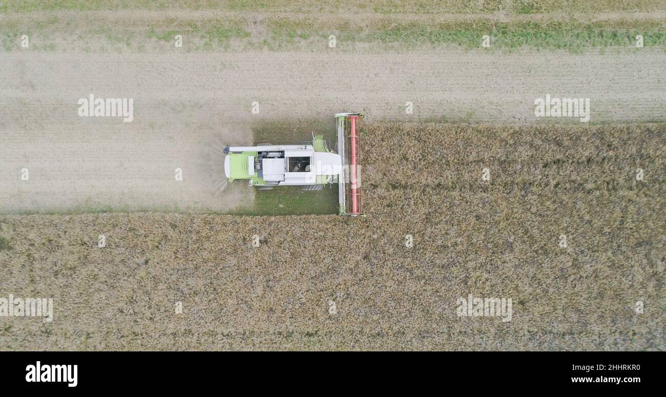 Harvisting Field Agriculture Harvester Harvesting Field Aerial View Stock Photo - Alamy