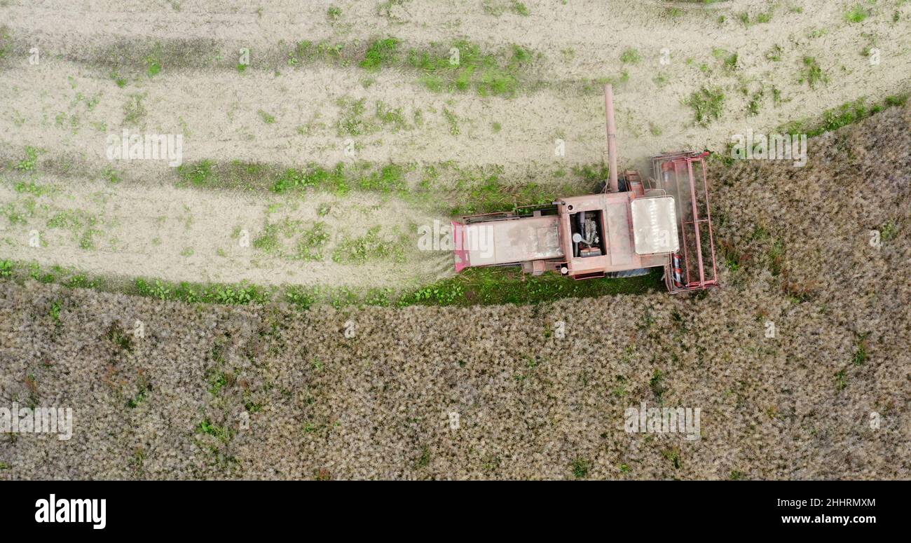Harvisting Field Agriculture Harvester Harvesting Field Aerial View Stock Photo - Alamy